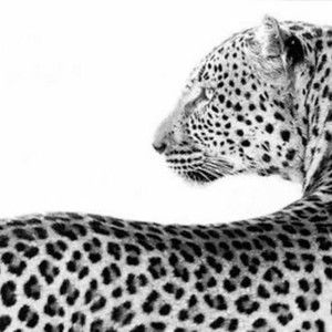 Meet your Posher, Mya